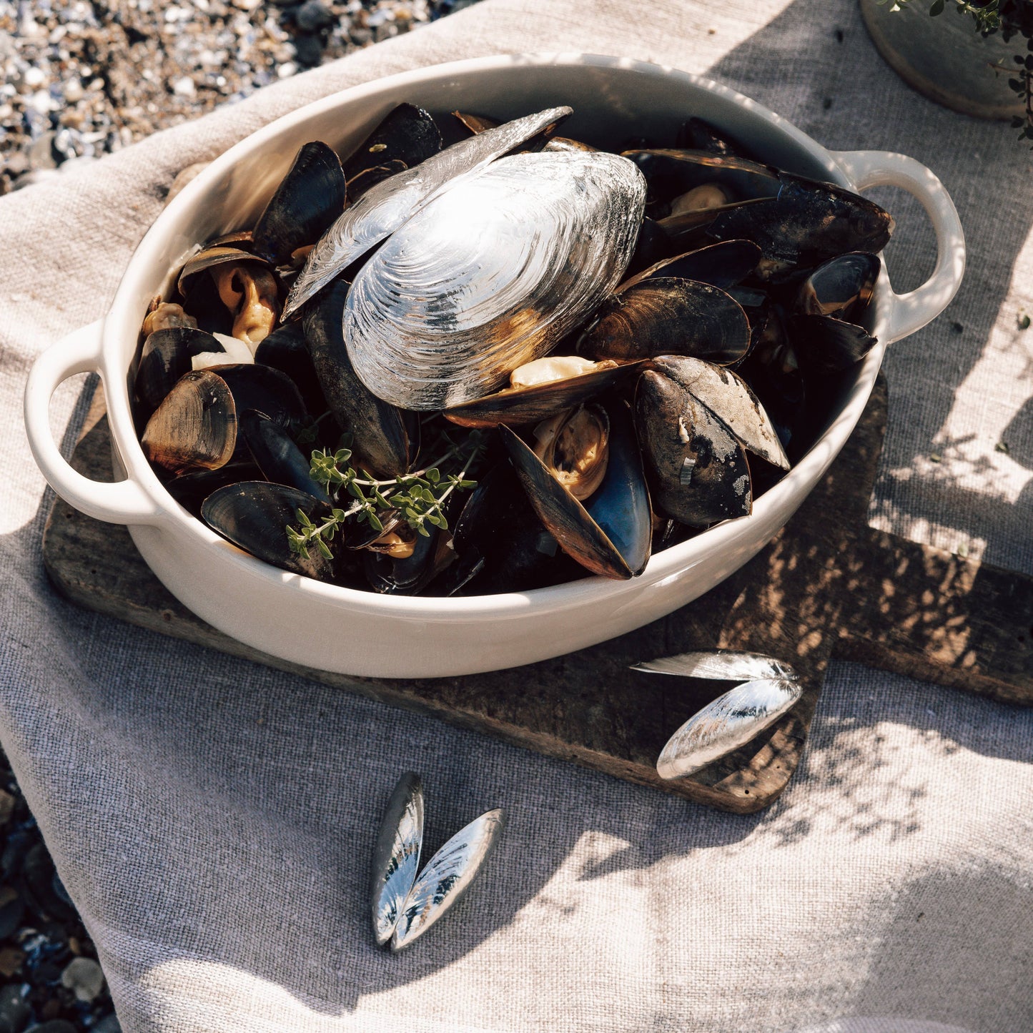 Das Zeeland Muschelbesteck