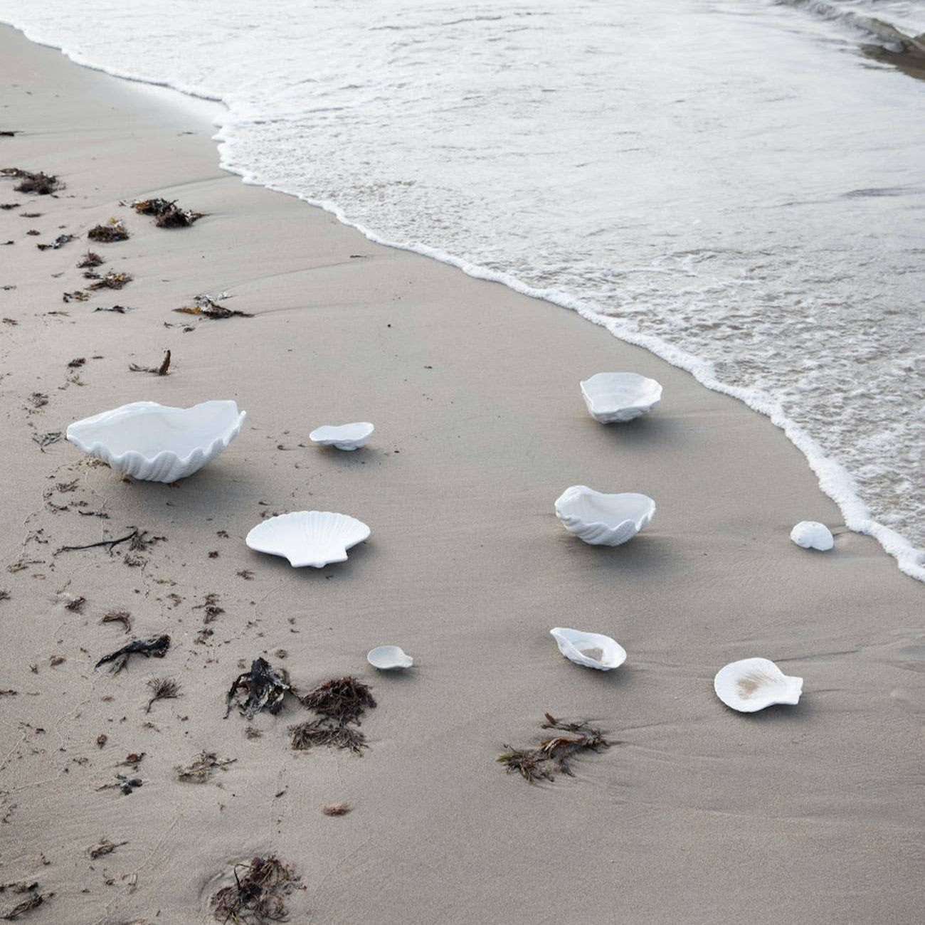 decorative plates and trays in the shape of shells placed on a sandy beach