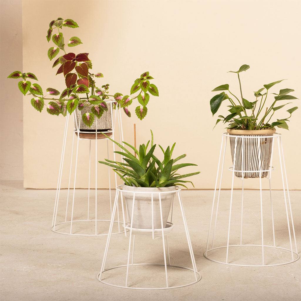 Cibele Plant Stand Black Small, OK Design, Pflanzenständer, NAVE shop - online concept store